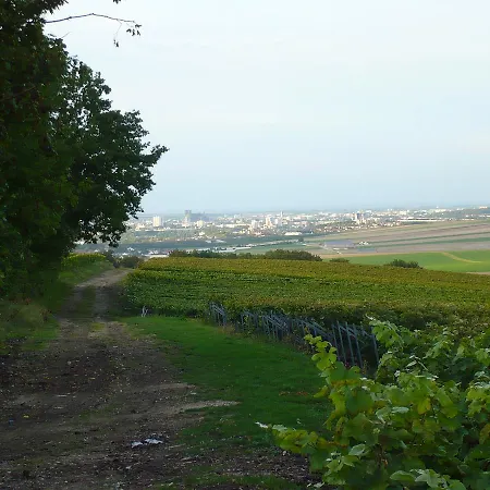 Roulotte Et En Champagne Pensión Villers-Allerand